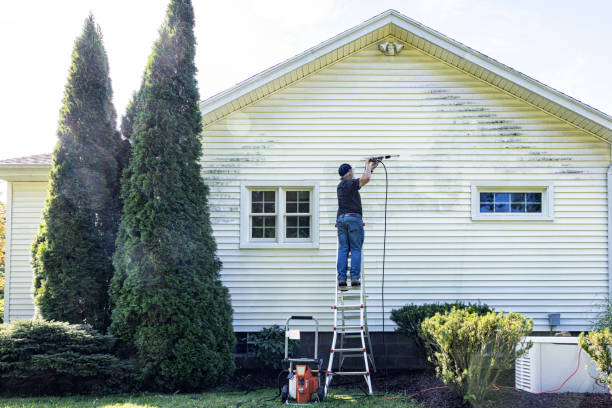 Best Driveway Pressure Washing  in Cedar Park, TX